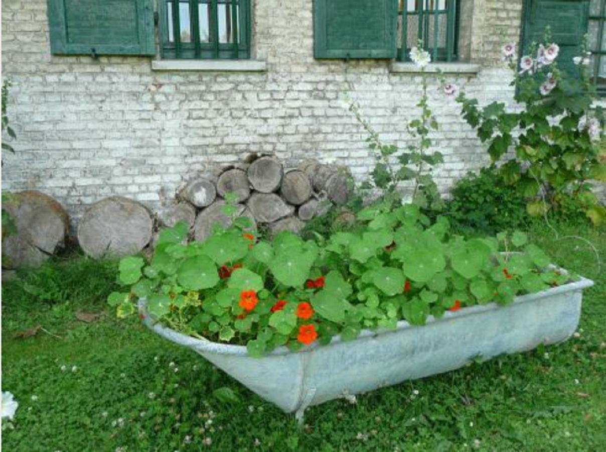 לינה וארוחת בוקר Manoir De Bois En Ardres מראה חיצוני תמונה