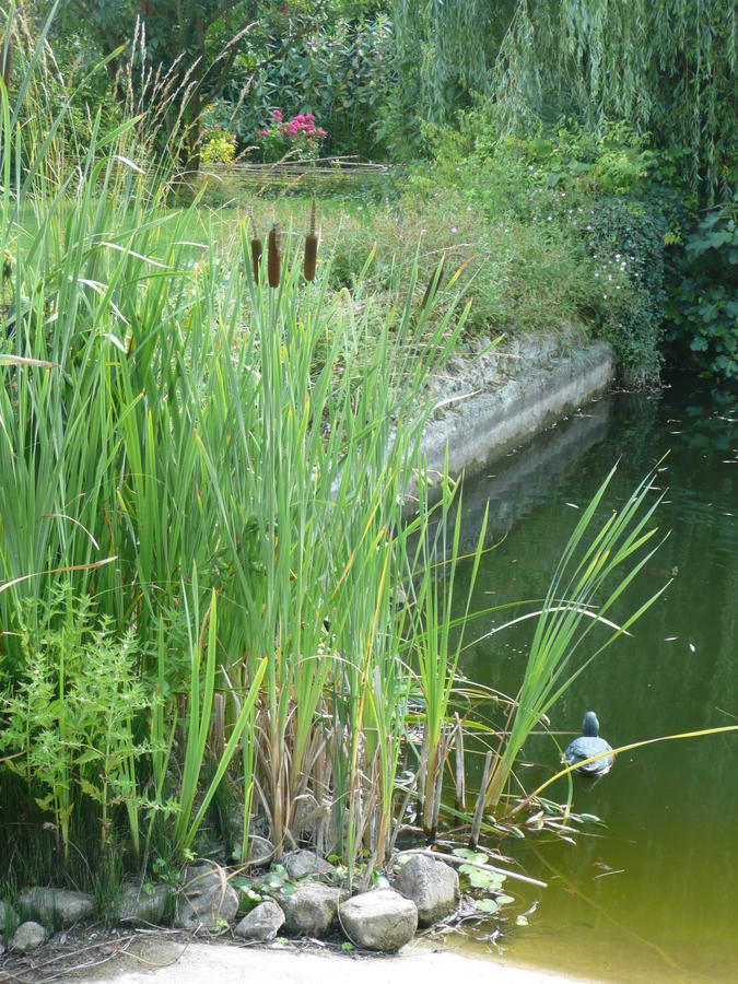לינה וארוחת בוקר Manoir De Bois En Ardres מראה חיצוני תמונה